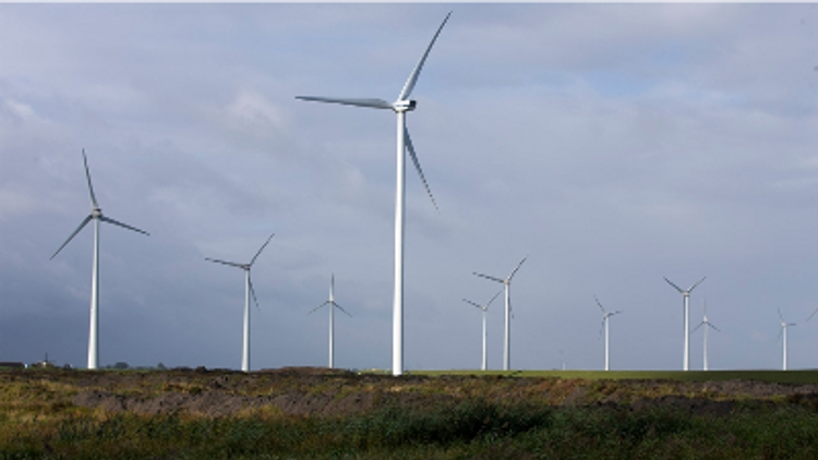 Groningen en Drenthe - Aanhoudingen voor asbestdumpingen en dreigbrieven aanleg windparken
